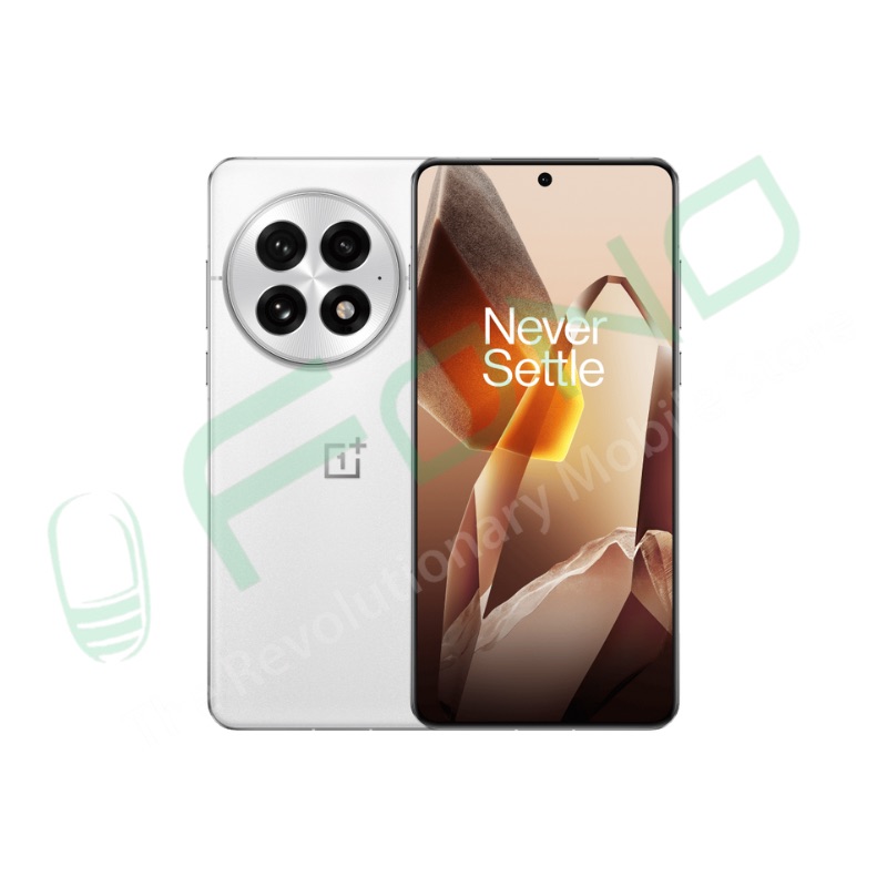 OnePlus 13