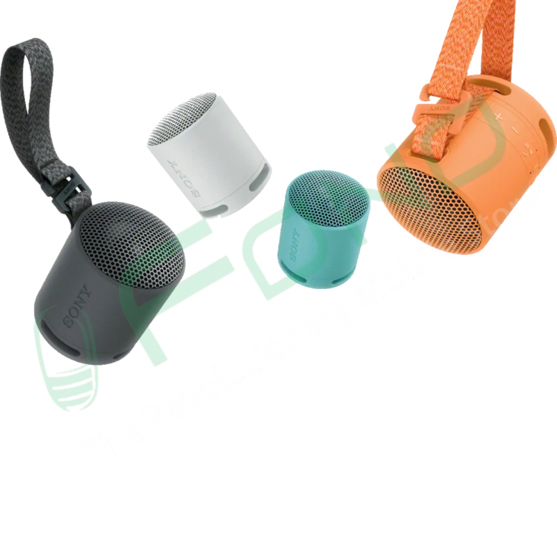 Sony SRS-XB100 Portable Wireless Speaker