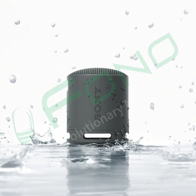 Sony SRS-XB100 Portable Wireless Speaker