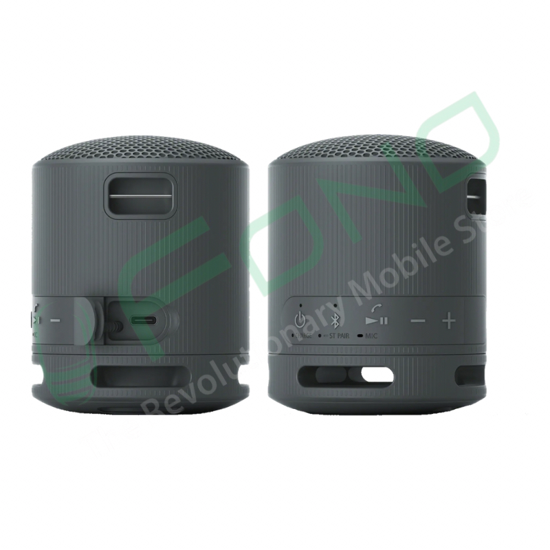 Sony SRS-XB100 Portable Wireless Speaker