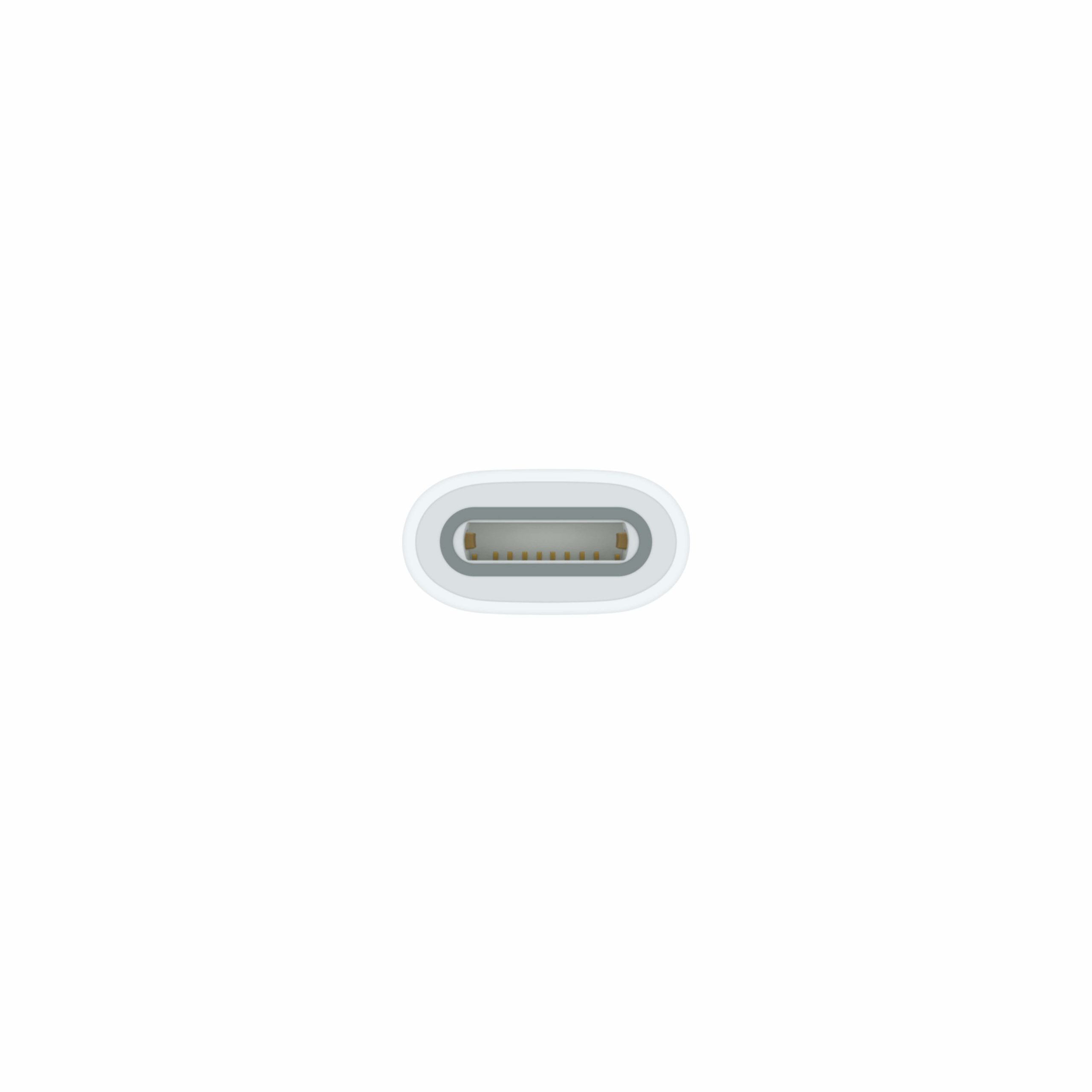 USB-C to Apple Pencil Adapter