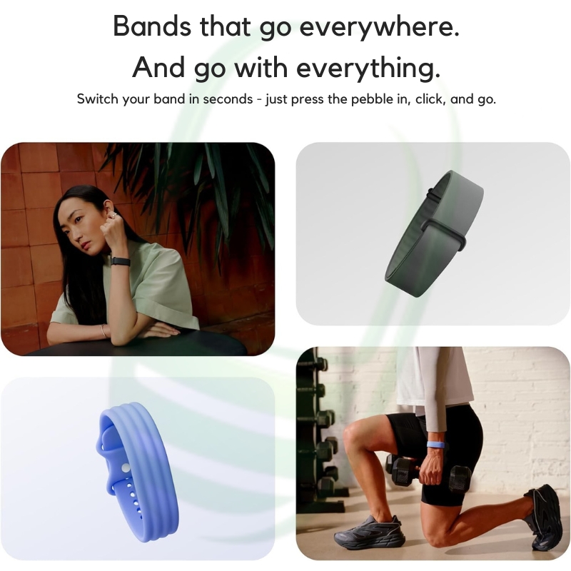 Google Fitbit Air