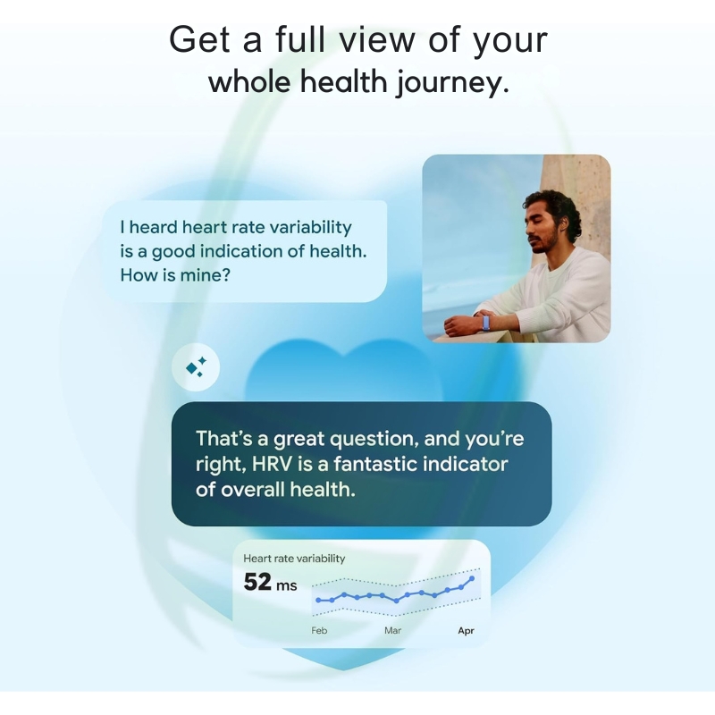Google Fitbit Air