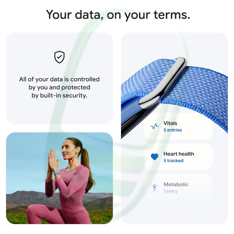 Google Fitbit Air