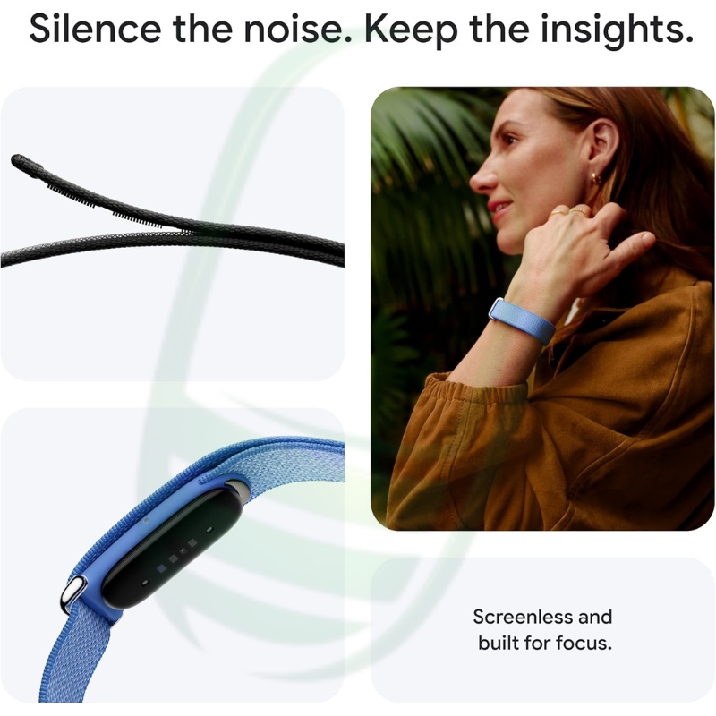 Google Fitbit Air