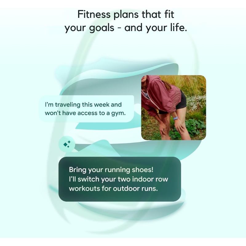 Google Fitbit Air