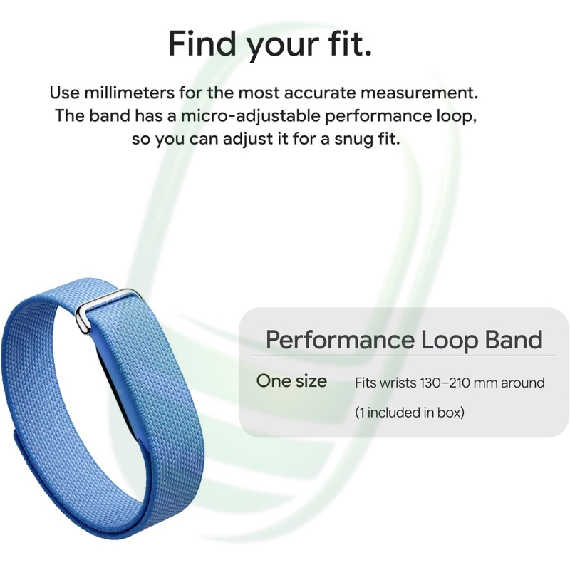 Google Fitbit Air