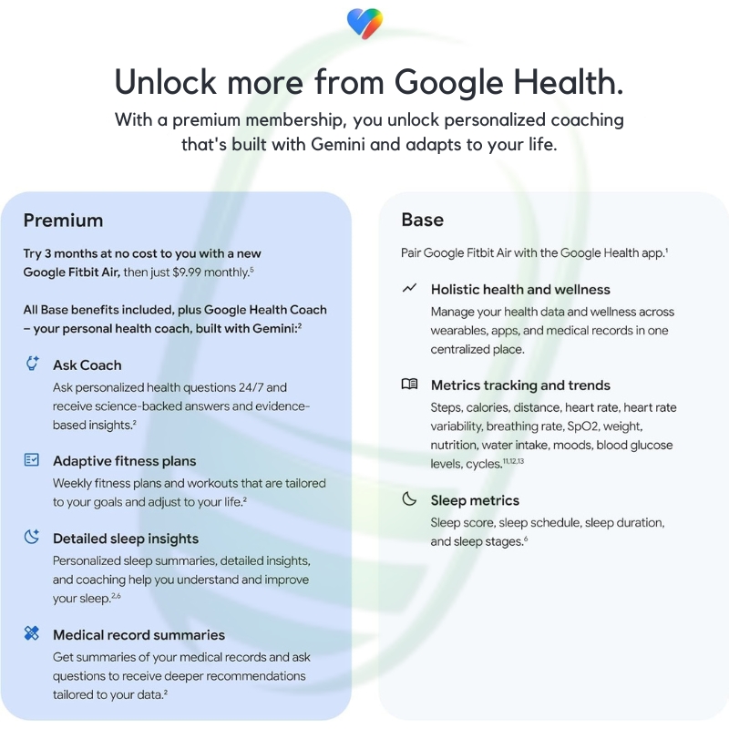 Google Fitbit Air