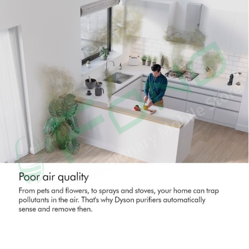 Dyson Purifier Cool Gen1 TP10 purifying fan (White/Silver)